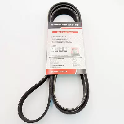 belt, for Infiniti – Belt