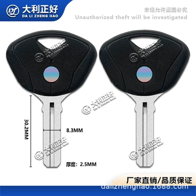 Suitable for BMW K1200 K1300 S1000R R1200R HP4 Chip motorcycle key embryo (Motorcycle General Parts)
