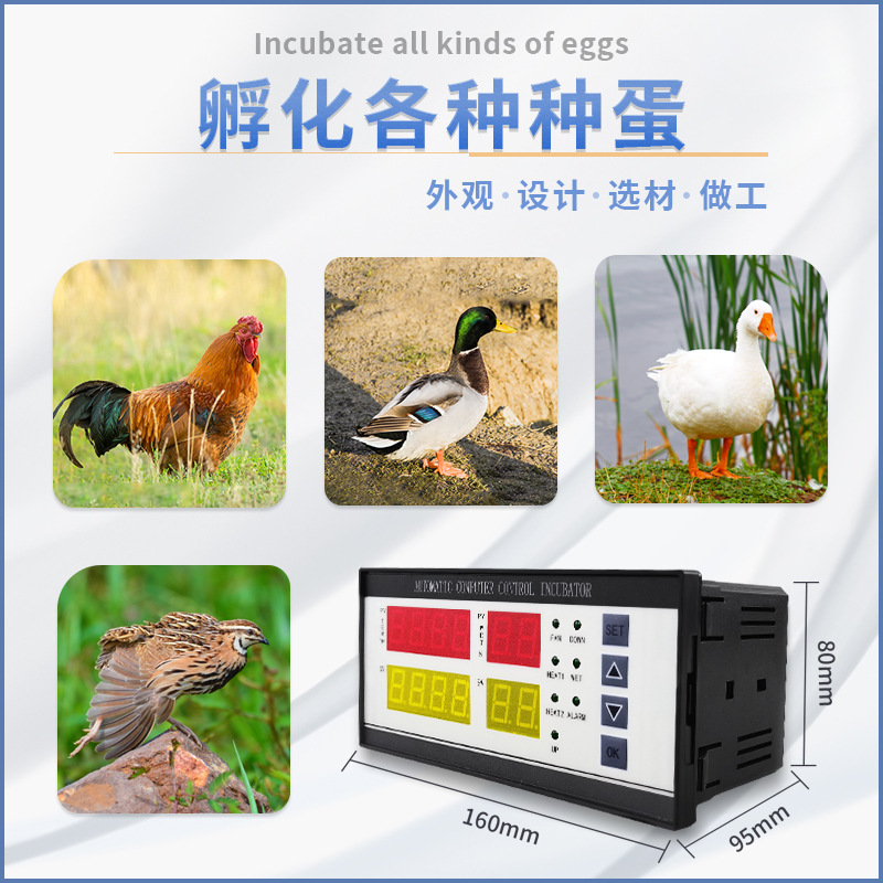 Suministro transfronterizo XM-18ZH incubadora controlador pollo pato Fahrenheit controlador de temperatura y humedad incubadora Accesorios