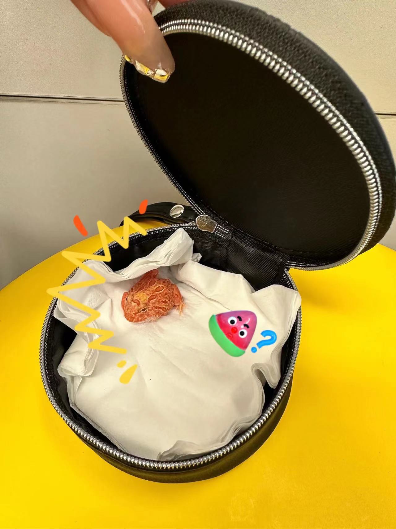 f6ee08d39c3bac0e31936da3dfd914