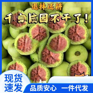 ������Ƥ��������ܼy����Ƥ������ҹ�ñ�����ـ�]�����Ǫ{���^