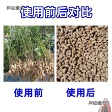 YlСժɝûÓCÓCժCô̫