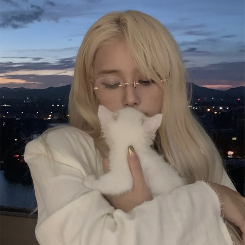 21 New Jennie Xiaohongshu same style frameless fashionable temperament pure desire simple anti-blue light flat mirror