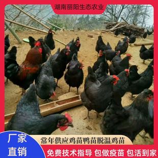 �S�����l����G�����u��������w�r��ɢ�B�u���M�ṩ�Bֳ���gָ��