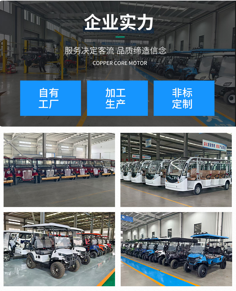2-Seater, 4-Seater, 6-Seater Electric Golf Carts for Export, Tourist Vehicles for Scenic Spots, Park Shuttles, and Real Estate Tours