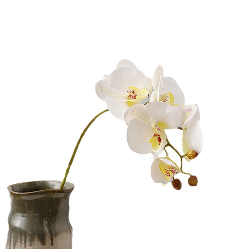 Phalaenopsis flor artificial sensación avanzada orquídea pantalla flor sala de estar mesa de comedor entrada decoración de la boda decoración floral