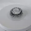 Stranding hair inner diameter 2.0cm dual -row (remarkable other inner diameter)