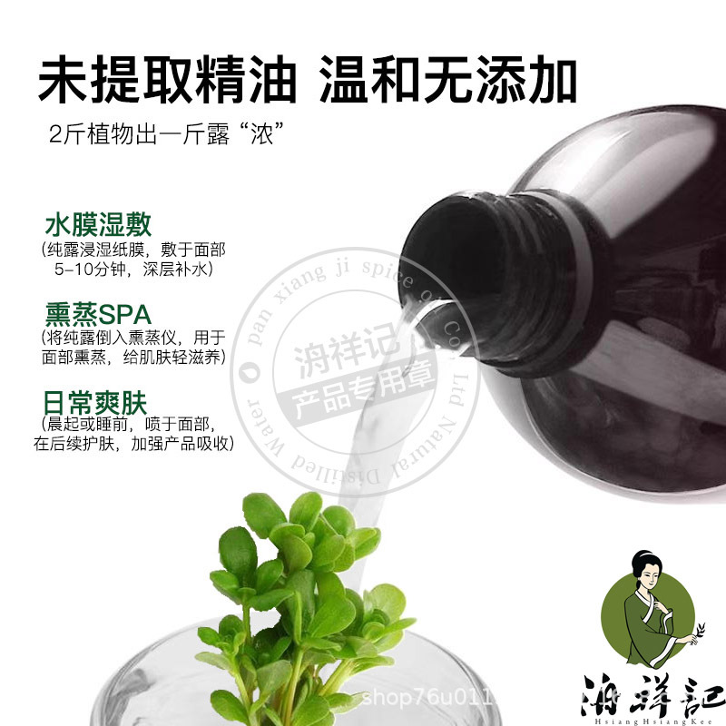 廠家批發原料馬齒莧純露花水爽膚水膜濕敷馬齒莧提取液爽膚水原液