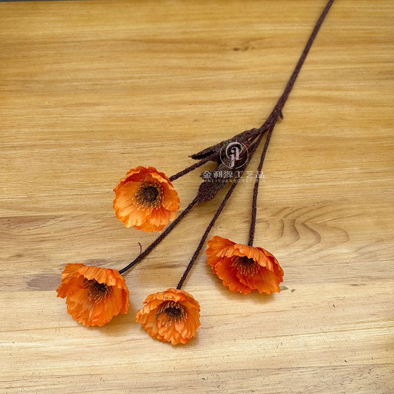 가을 빛 오렌지