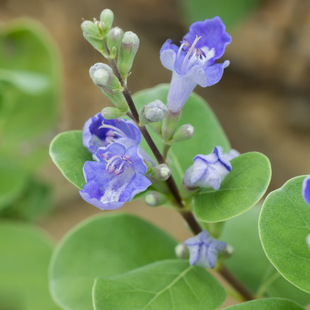 �²����l�N�����~��ľ�e�����G���G���f�G����ș��λ����������