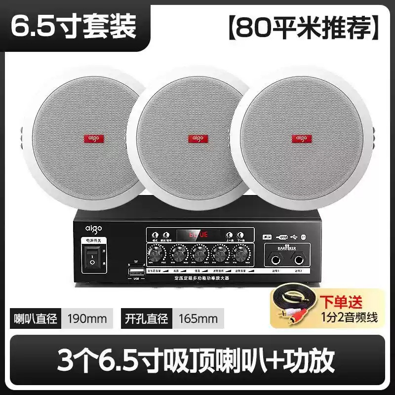 Sistema de Altavoces de Techo con Conexión Bluetooth para Música de Fondo