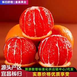 橙;柑桔;服务商品