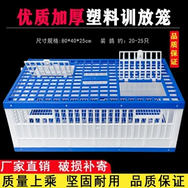 其他小宠用品;鸟笼;鸟类