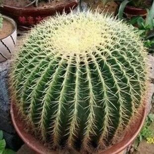 ����������������ƽ���ֲ����B�̨ͥԺ�����҃ȿ͏d�Gֲ����