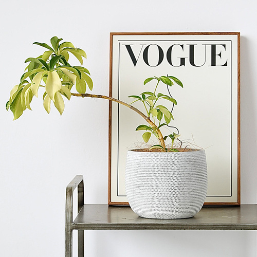 Nordic simple black texture cement flower pot creative personality large floor-standing large leaf umbrella plant living room pot