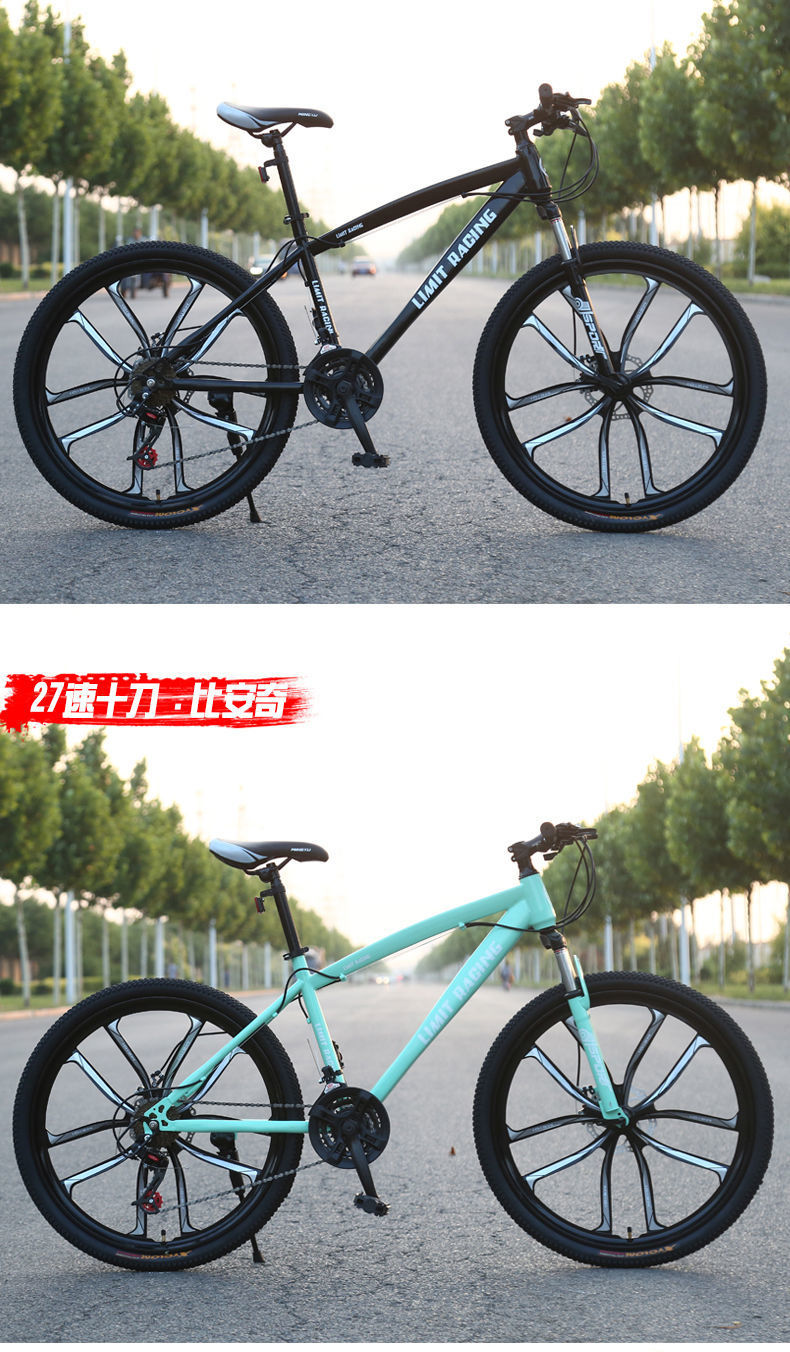 49725297-ae06-4381-bf1a-36329ead6670.jpe