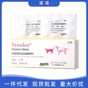 Spot sunuo tablets 50/250/500mg dog cat pet drug broad spectrum amoxicillin