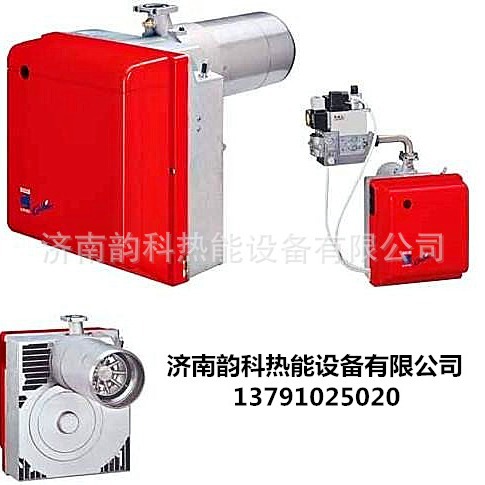 利雅路燃烧器RS5 RS5D GS10 GS20 BS3D BS4D燃气燃烧机锅炉燃烧器