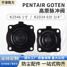 批发PENTAIRGOTEN高原脉冲阀电磁脉冲阀膜片维修包膜片电机密封件