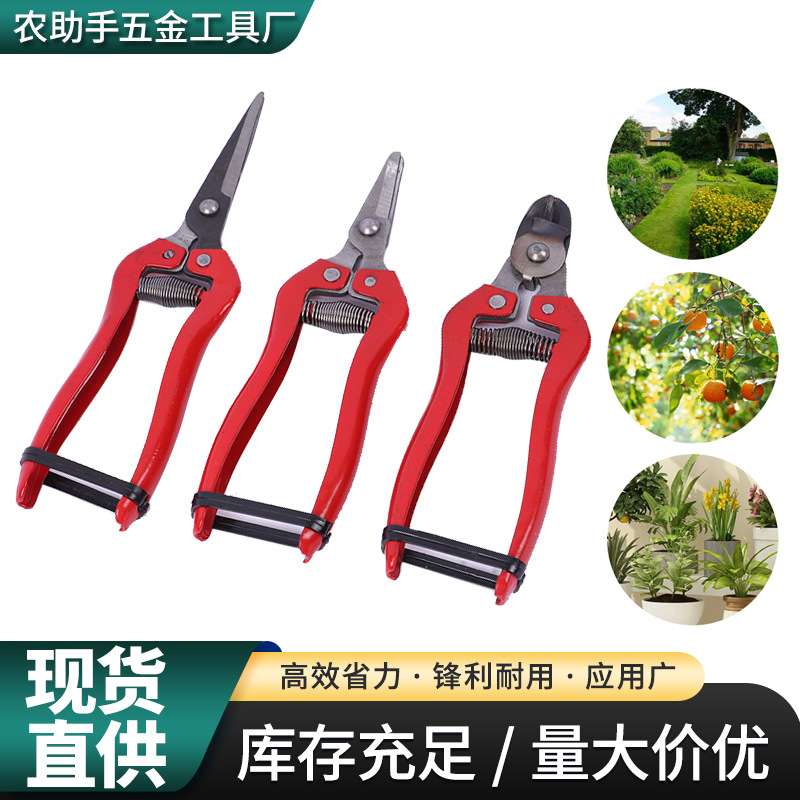 不锈钢摘果剪翘头水果果枝稀果剪 园艺修枝果蔬修花剪刀 定制果树