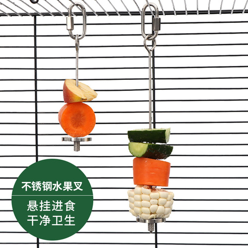 Parrot stainless steel fruit fork vegetable corn apple fork toy bird forager feeder bird supplies utensils