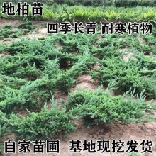 �Ԯa���N䁵ذ��辰�����ɰ�ӭ�����������ԾGֲ����С�^�G������