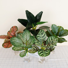 �羳�Gֲ10Ƭ�����O���~�k����ֲ�����Ԕ[���߼��б�������O���~