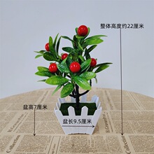 S羳Gֲlֲ[辰ˮԈ@ˇ߷