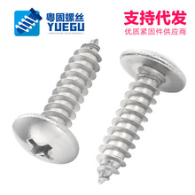 【m3m3.5m4m5m6】304不锈钢大扁头十字自攻螺丝大圆头蘑菇头螺钉