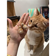 ͸��؈ë�ռ{���ռ{Ť��؈��ë�l�ղؼo��Ʒ�ɐۿ�ͨ耳׿�С���