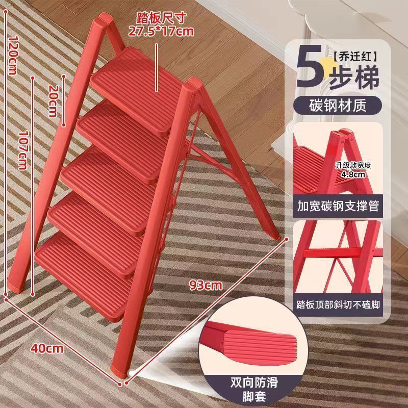 /베고니아 레드 5단계 - 점장 추천