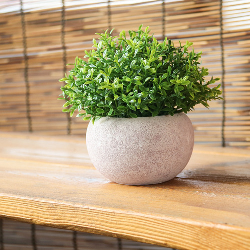 Artificial Potted Plant Cross-Border Four-Leaf Clover Simulation, Semi-Circular Naturally Biodegradable Pulp Pot, Artificial Plant Miniature Landscape