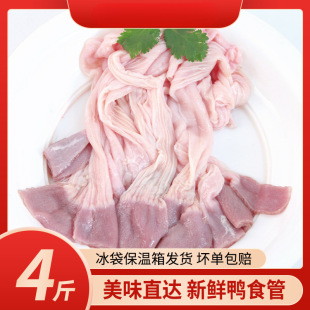 ���r��ʳ��4���b��S���]�������ʳ����������θ���c