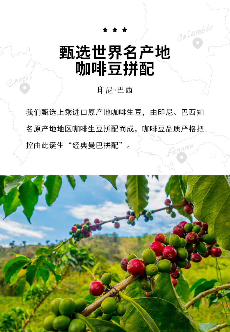 咖啡生豆进口