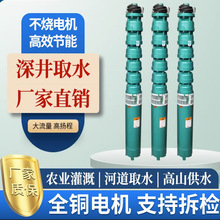 农用高扬程大流量农田灌溉家用井水多级增压125QJ型深井潜水电泵