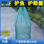 折叠鱼护养鱼笼养虾笼泥鳅黄鳝笼暂养网箱螃蟹护吊笼渔网鱼笼姜茶