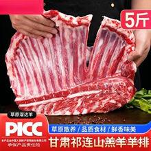 羊排新鲜羊肉5斤乳羔羊排手抓羊肉烧烤滩羊手把羊肉生鲜火锅礼盒