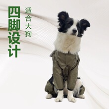 �羳�B�w�����´���Ȯ���_��ˮ�L���·��b͸�ⷴ�⌙������