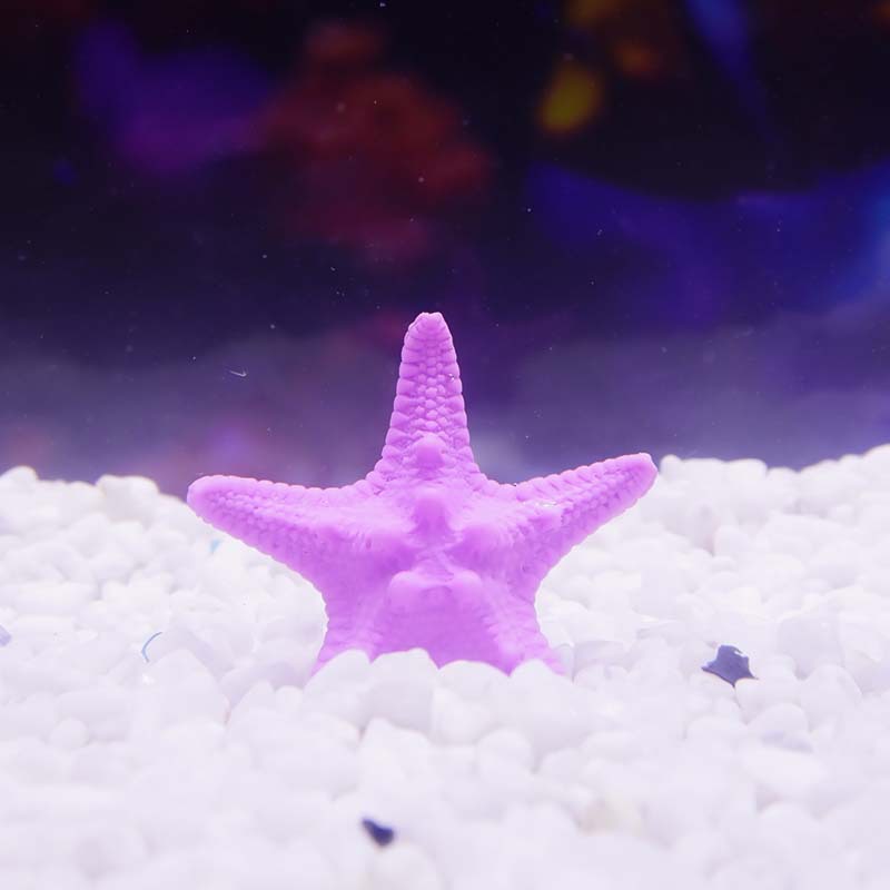 Estrella de mar irrompiable Pecera de PVC Acuario Decoración de paisajismo Bawang Pan blanco Decoración de coral submarino Escenografía Decoración de bricolaje
