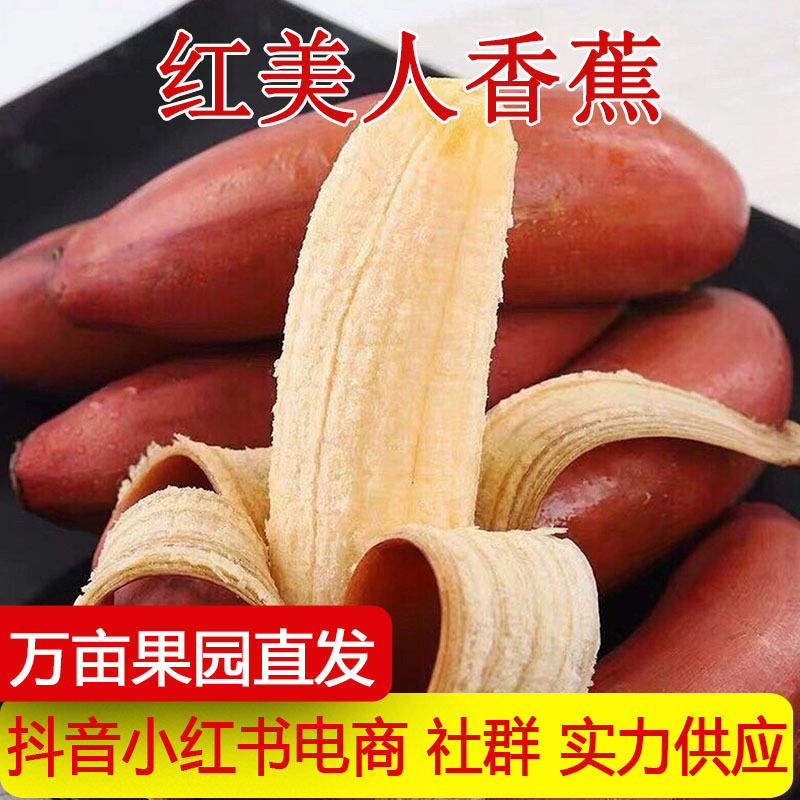 红美人香蕉红蕉香焦火龙蕉应季新鲜水果红皮香蕉非苹果蕉小米蕉