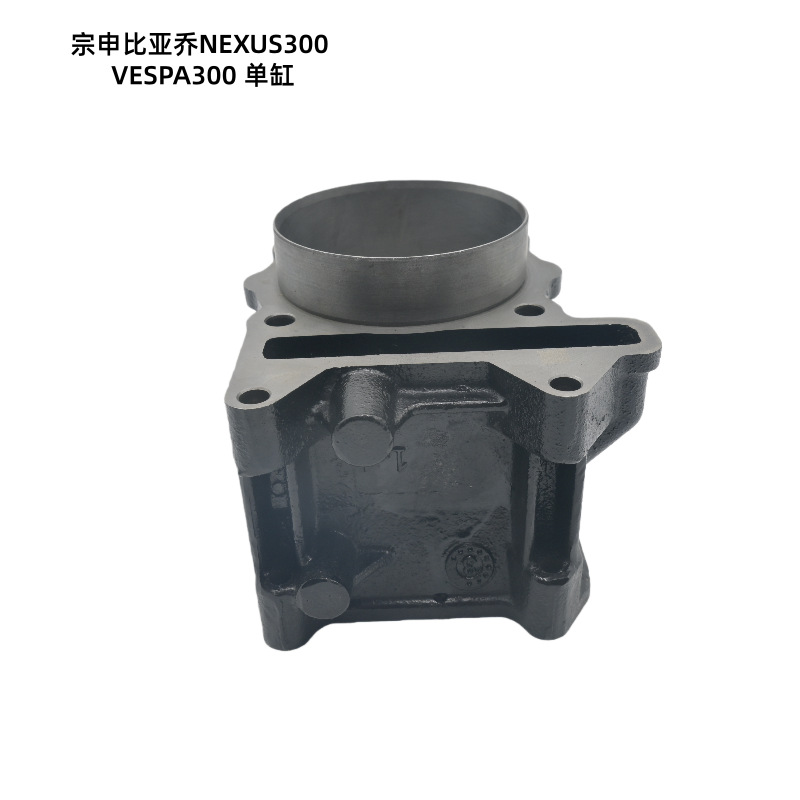 Motorcycle Cylinder Is Suitable for Zongshen Biaqiao Nexus300 Vespa300 Efi Cylinder Kit