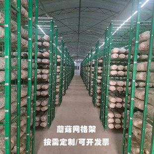 ����Ģ���W���ʳ�þ��Nֲ����ƽ�����`�������W���B�������WƬ