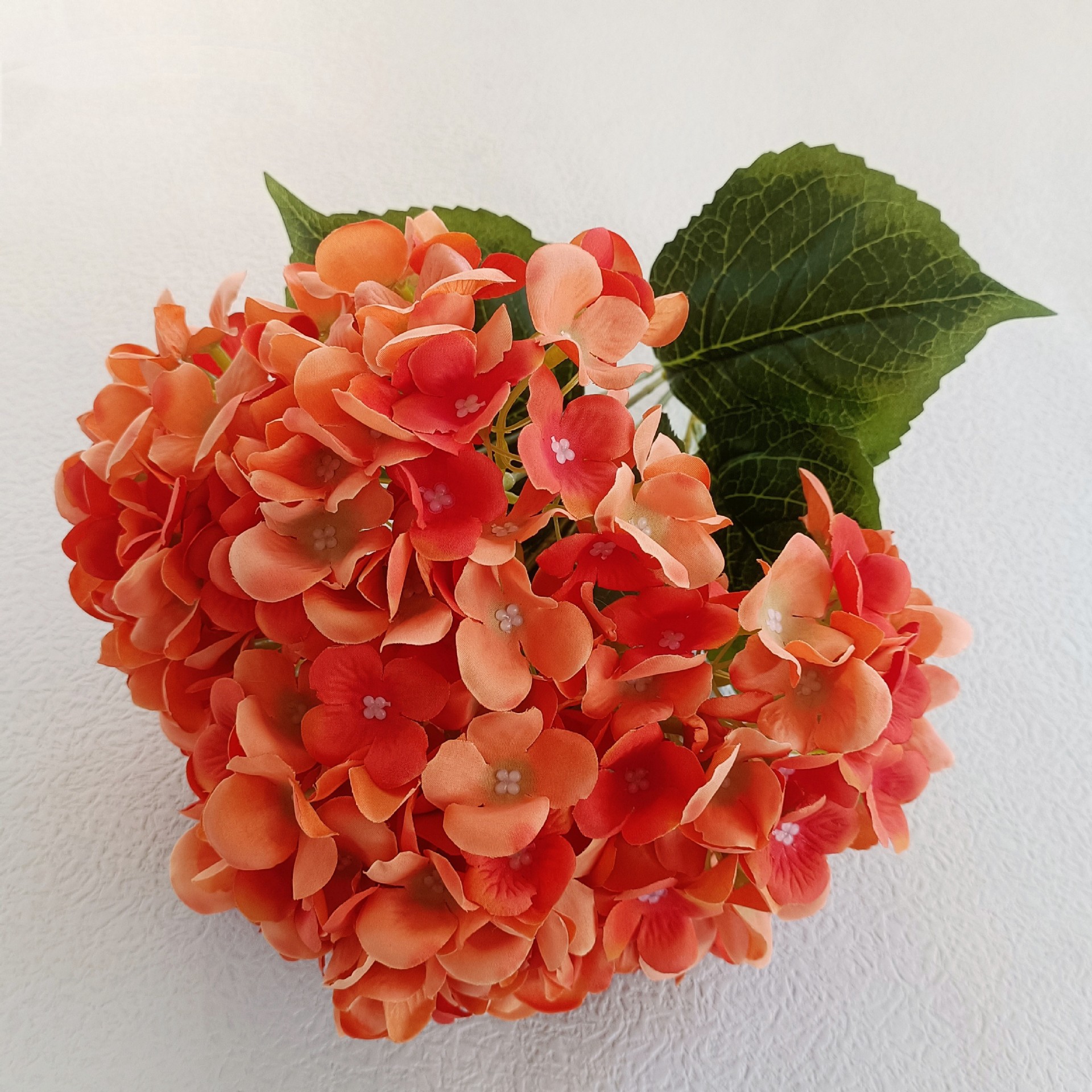 4b7781110e9b50aaf2e822f7783937