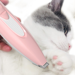 Factory wholesale pet Shaver dog rechargeable foot Shaver Cat teddy dog shaving Clipper
