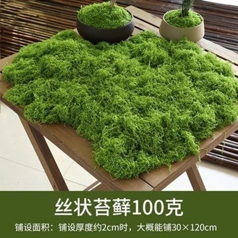 羊毛造景掉色不植物墙水陆缸假山石头仿真苔藓青苔缸藓园林雨淋|undefined