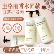 ���A���ײ��o�l�س־���������������B��l���o�CȾë��l�z����