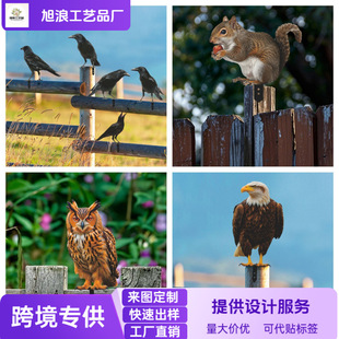 �羳������@���ٷ��B����[������ͥԺ�T���b��Fˇ��ˇƷ���