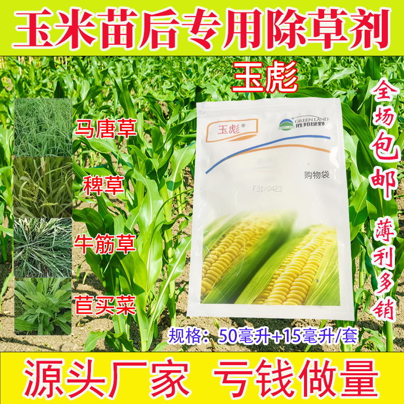 玉米苗后专用除草剂玉彪玉米田专用玉米地除草剂牛筋草节节草农用