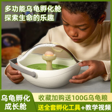 乌龟蛋可孵化成长仓活物爬台专用乌龟缸宠物饲养箱小龟盒六一礼物