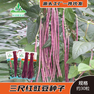 ���l���߼t�L���ǷN�Ӵ���t�tɫ�L�����N�Ѱ������������＾��